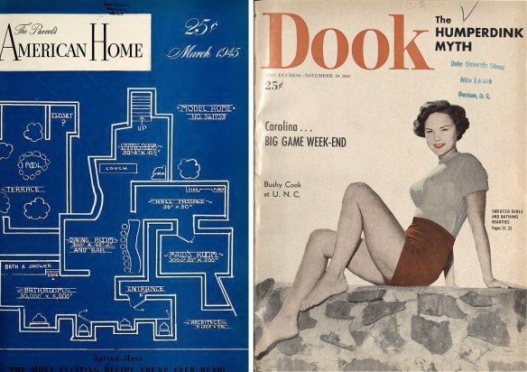 Purple Parrot's American Home and the Duke'n'Duchess's Dook.