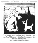 Cartoon of two dogs