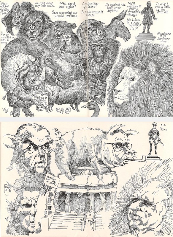 Art from CCT and Toady